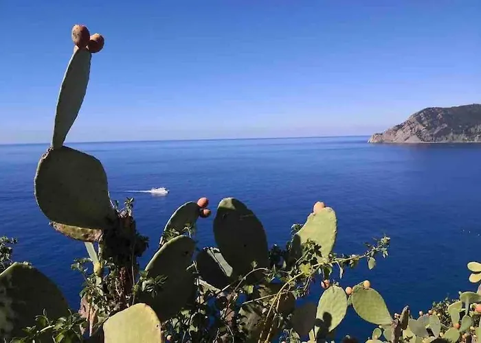 Cinque Terre Hub Luxury In Semesterbostad *